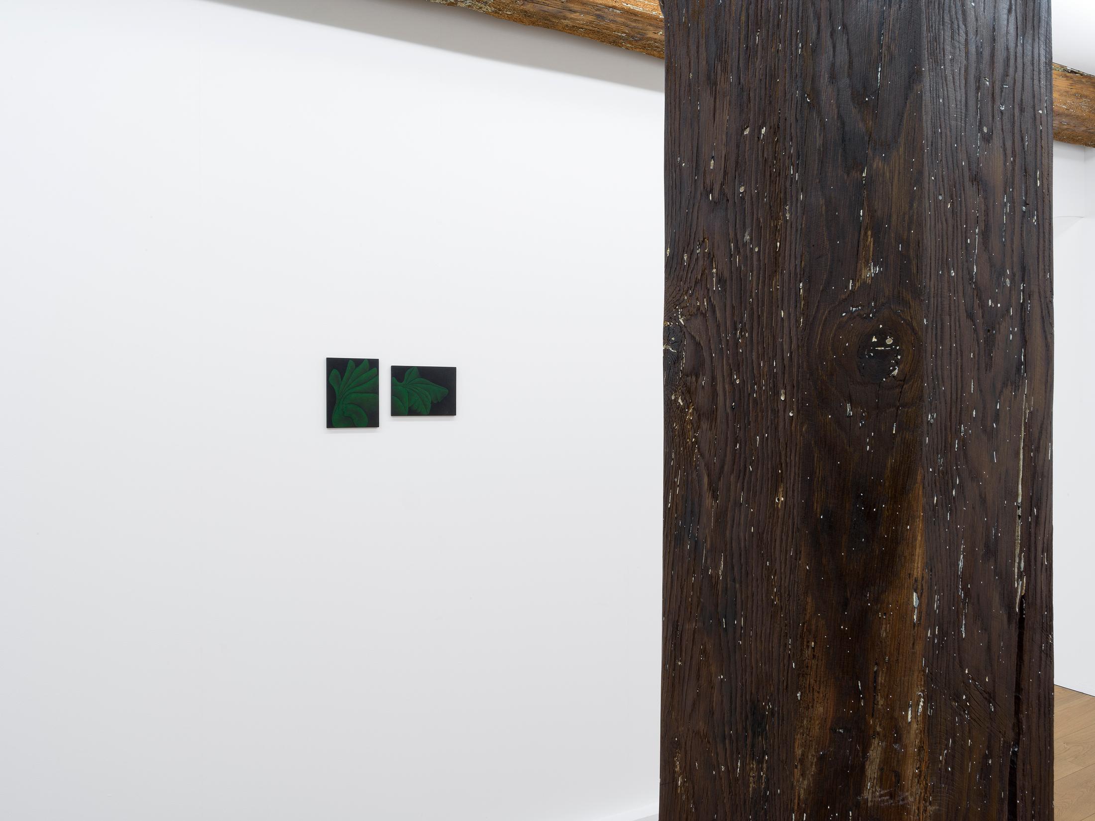 Exhibition View Miriam Visaczki Solo Show «Ot Otijot» at Kirchgasse Gallery, Steckborn, 2022 / Photo: CE / Courtesy: the artist and Kirchgasse Gallery