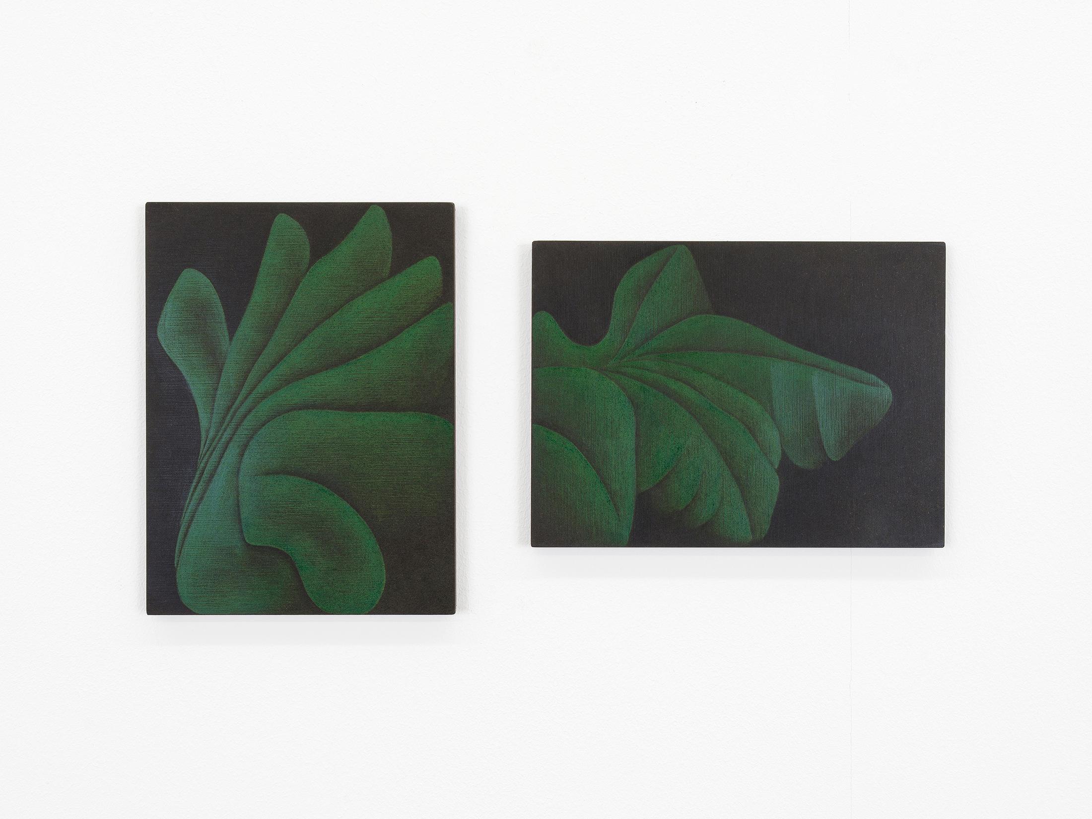 Exhibition View Miriam Visaczki Solo Show «Ot Otijot; view on Miriam Visaczki, Pflanzen / Plants, 2022» at Kirchgasse Gallery, Steckborn, 2022 / Photo: CE / Courtesy: the artist and Kirchgasse Gallery