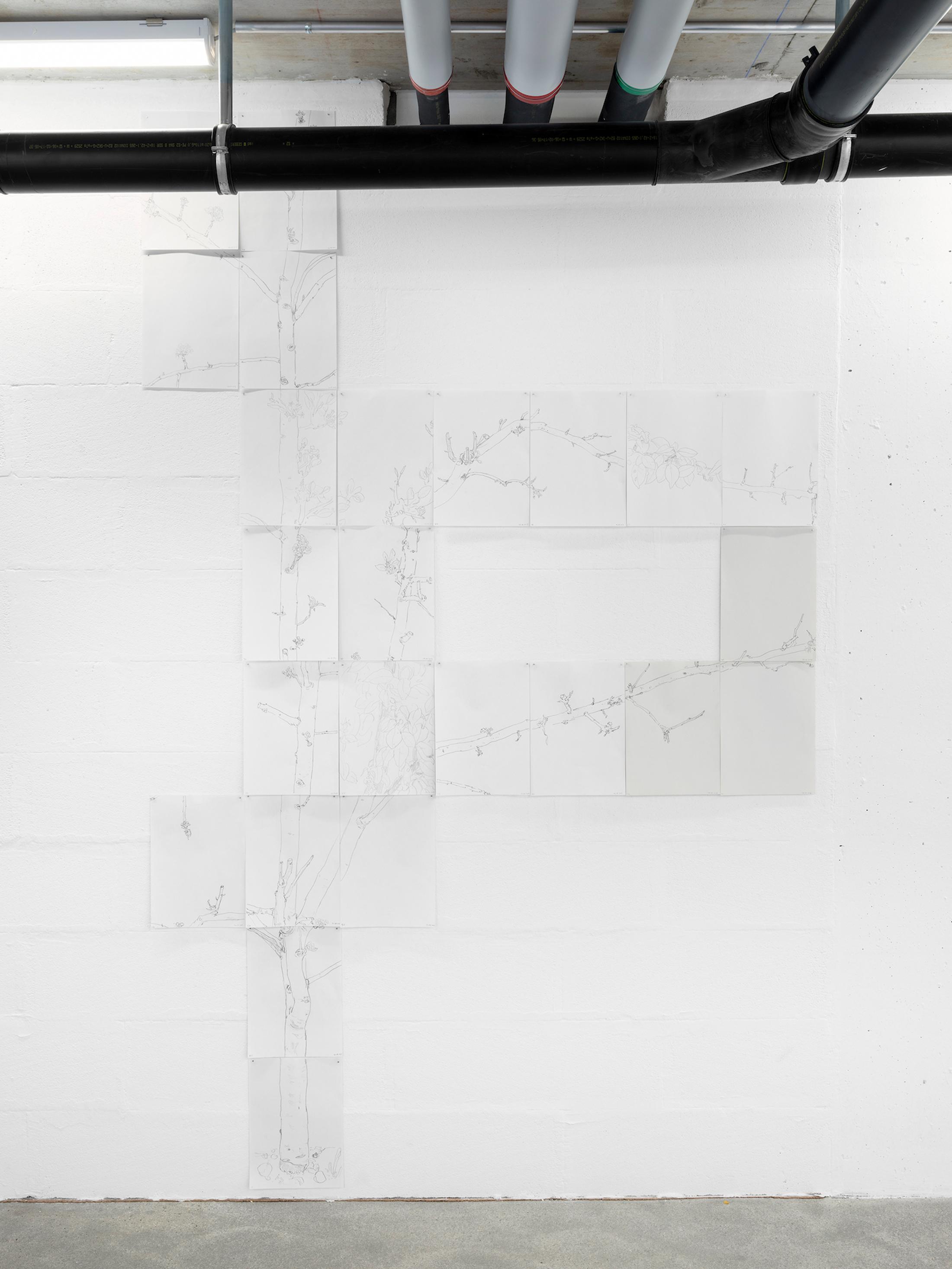 Exhibition View Mirko Baselgia Soloshow «The Stars Are Not Alone; view on Peer Tree, 2019» at Galerie Heinzer Reszler, Lausanne, 2019 / Photo: © Julien Gremaud / Courtesy: the artist and Galerie Heinzer Reszler