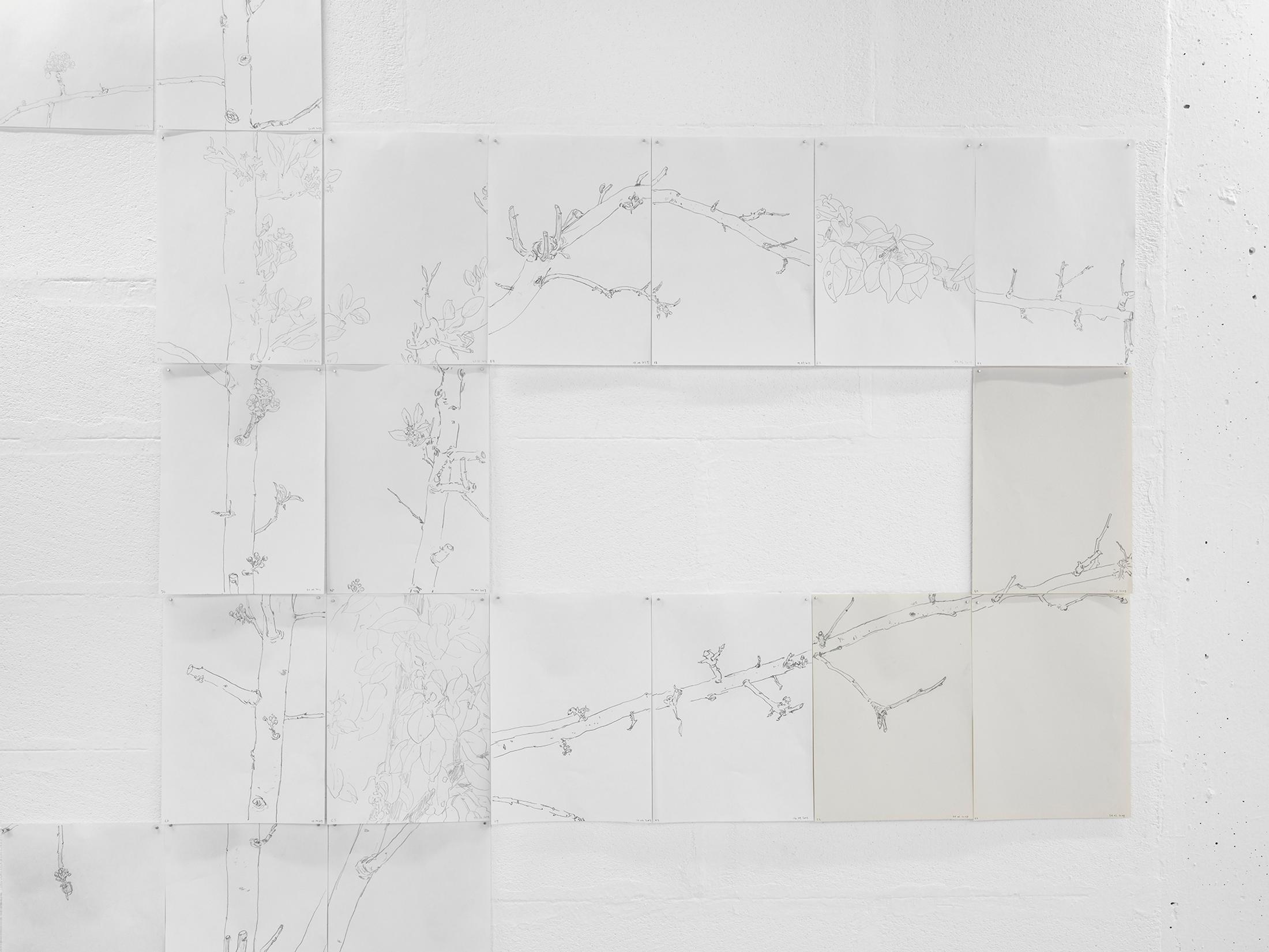 Exhibition View Mirko Baselgia Soloshow «The Stars Are Not Alone; view on Peer Tree (detail), 2019» at Galerie Heinzer Reszler, Lausanne, 2019 / Photo: © Julien Gremaud / Courtesy: the artist and Galerie Heinzer Reszler