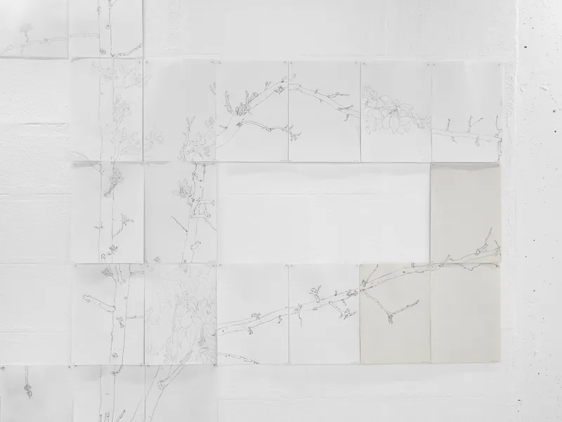 Exhibition View Mirko Baselgia Soloshow «The Stars Are Not Alone; view on Peer Tree (detail), 2019» at Galerie Heinzer Reszler, Lausanne, 2019 / Photo: © Julien Gremaud / Courtesy: the artist and Galerie Heinzer Reszler