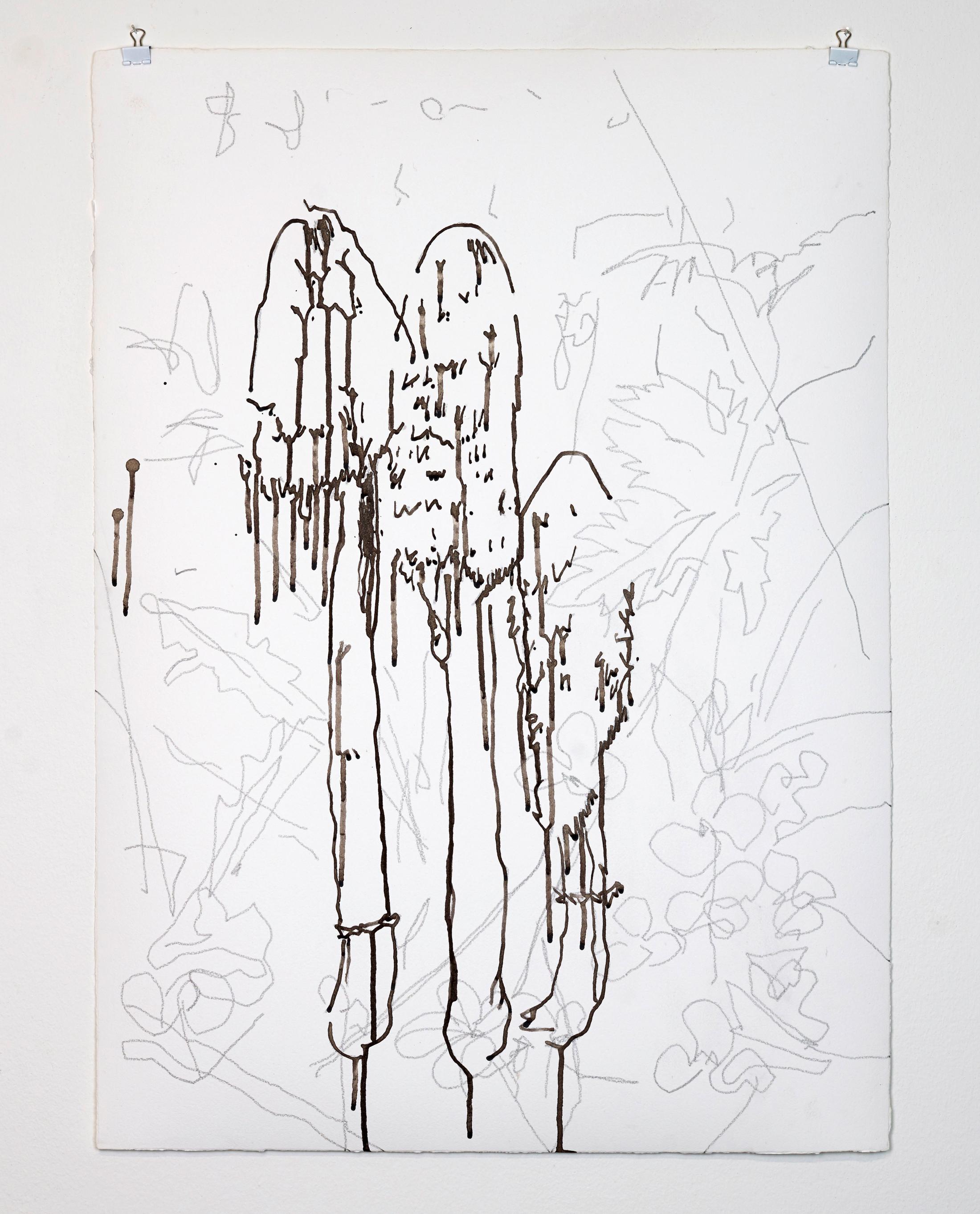 Exhibtion View Mirko Baselgia Soloshow «Habitat ; view on Autolyse Coprinus Comatus, 2018» at Galerie Urs Meile, Luzern, 2018 / Courtesy: the artist and Galerie Urs Meile