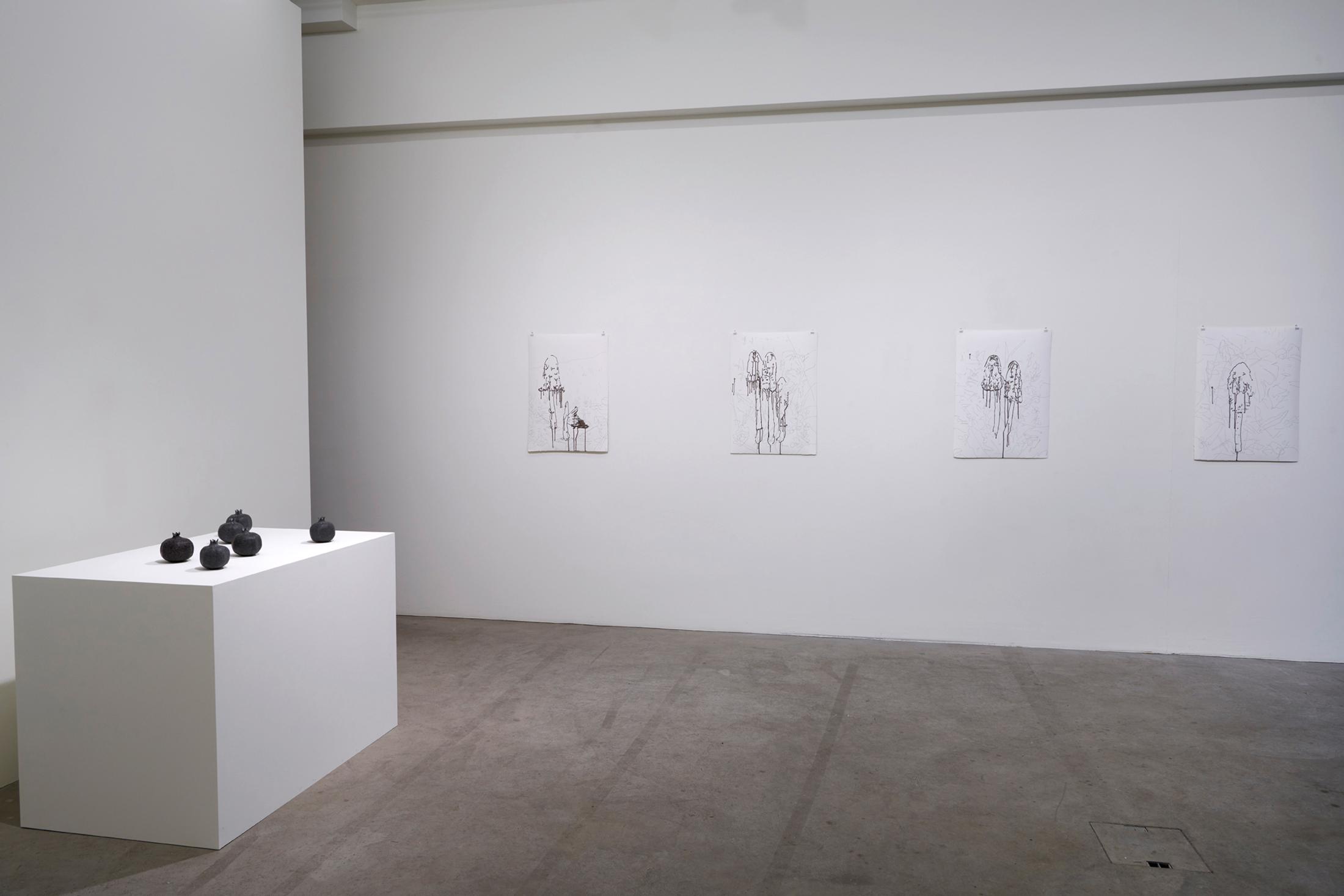 Exhibtion View Mirko Baselgia Soloshow «Habitat» at Galerie Urs Meile, Luzern, 2018 / Courtesy: the artist and Galerie Urs Meile