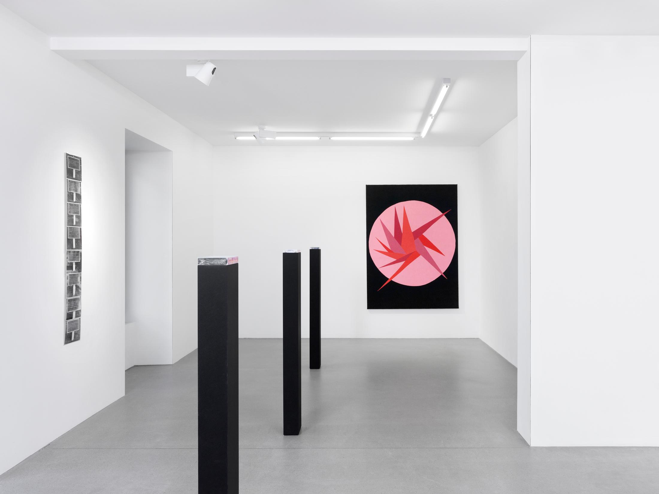 Exhibition View Mitchel Anderson «Recurrence» at Galerie Maria Bernheim, Zurich / Photo: Annik Wetter / Courtesy: the artist and Galerie Maria Bernheim