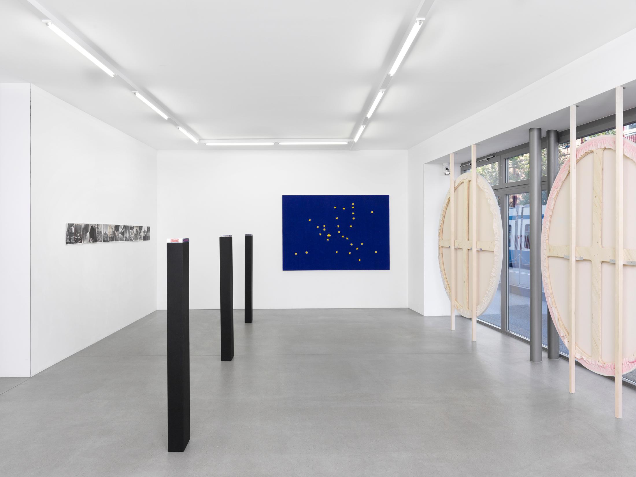 Exhibition View Mitchel Anderson «Recurrence» at Galerie Maria Bernheim, Zurich / Photo: Annik Wetter / Courtesy: the artist and Galerie Maria Bernheim