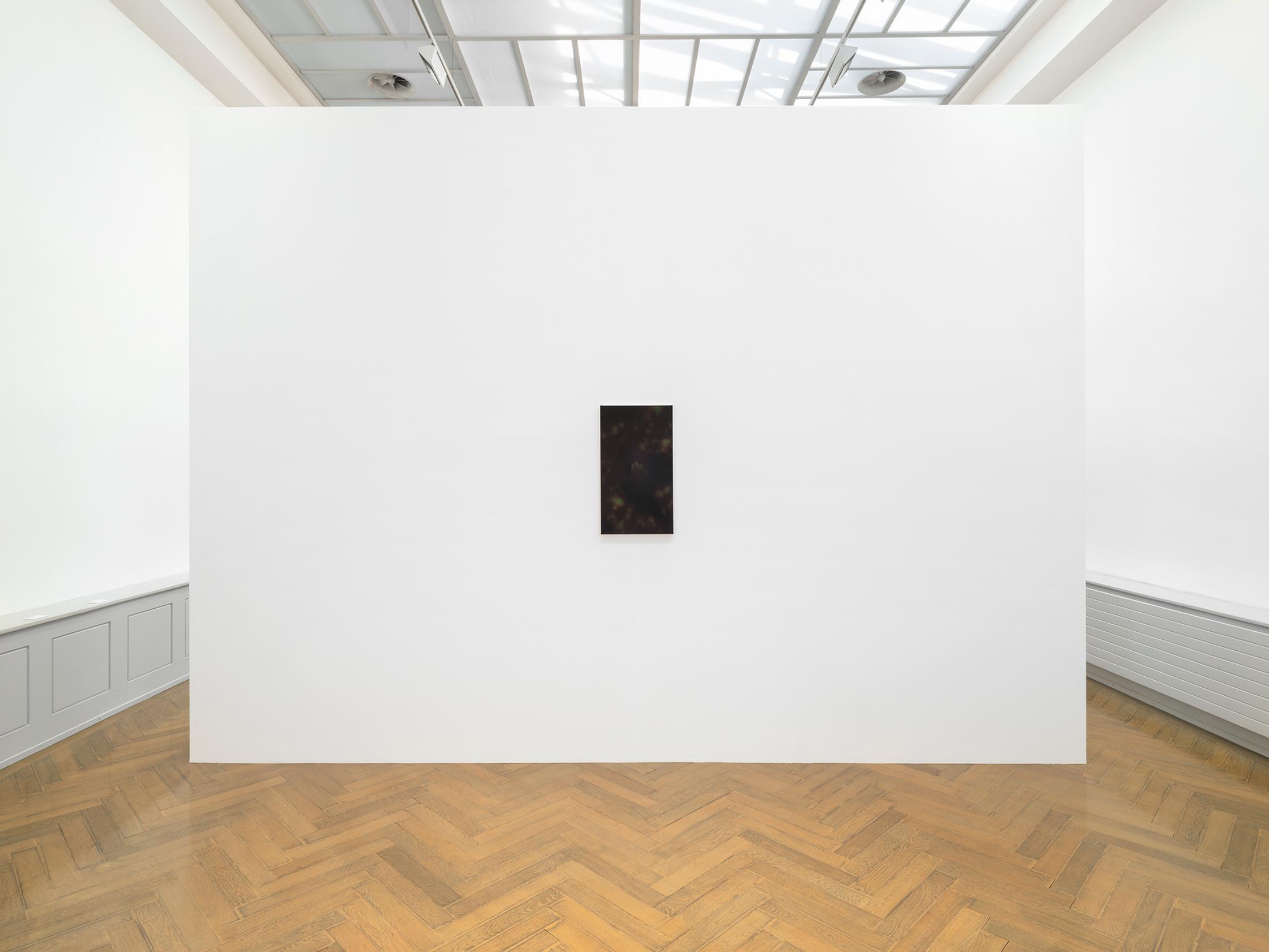 Exhibition View Natacha Donzé Solo Show «Festins» at MBAC, Musée des beaux-arts, La Chaux-de-Fonds, 2021 / Photo: Julien Gremaud / Courtesy: the artist and MBAC