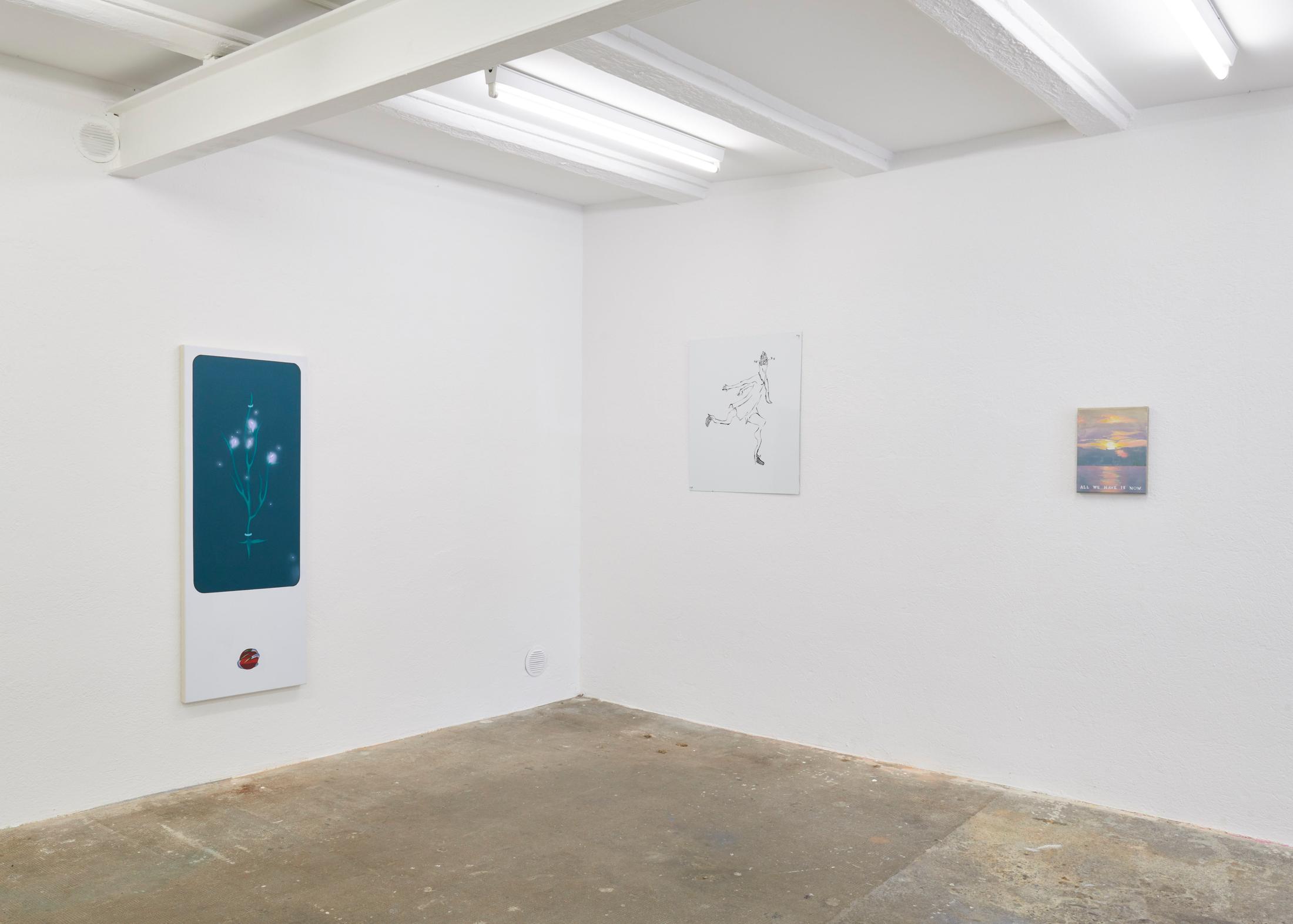 Exhibition View Groupshow «Observer of the Techniques» at WallRiss, Fribourg, 2019 / Courtesy: the artists and WallRiss