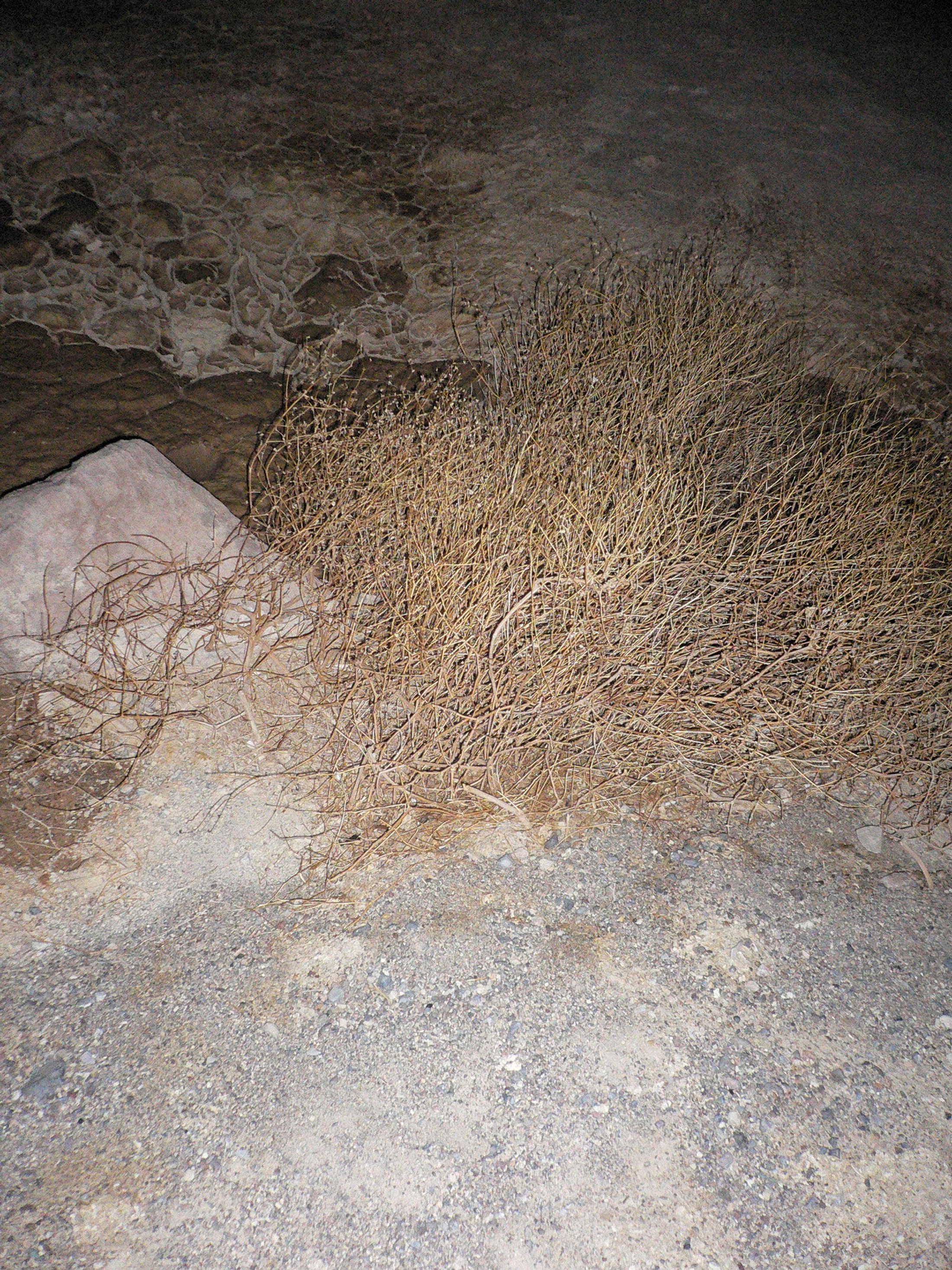 Olaf Nicolai «Zabriskie Point, 2010» at LOK, St. Gallen / Courtesy: Galerie EIGEN + ART Leipzig/Berlin 2018, ProLitteris, Zürich