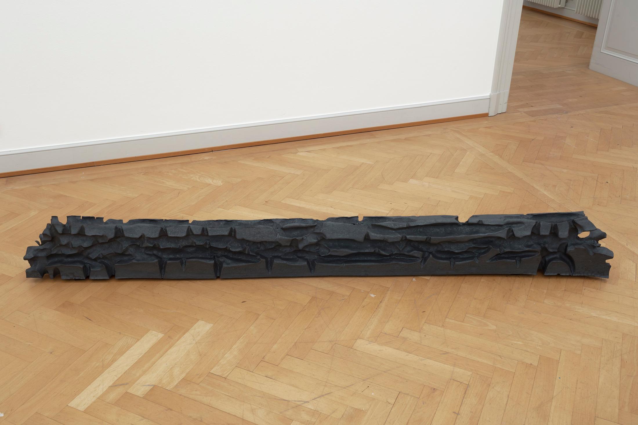 Installation View Raphael Hefti "Dr. Sattler: So, what are you thinking? Dr. Grant: We’re out of a job. Dr. Malcom: Don’t you mean extinct? 2018" at Kunstmuseum St. Gallen /  Photo: Gunnar Meier / Courtesy the artist