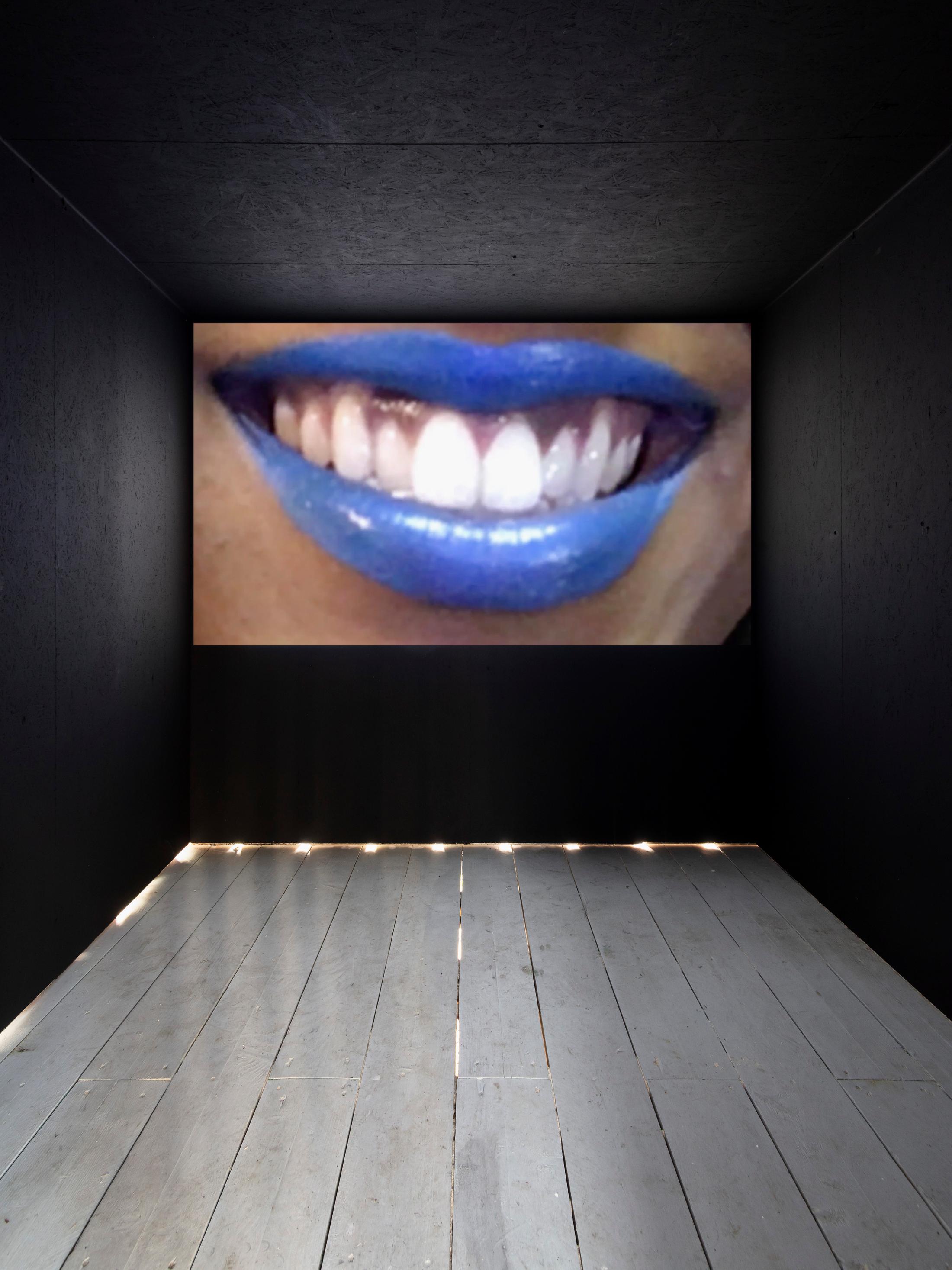 Exhibition View Groupshow «On Fire – Vulnerable Footage ; view on Juliana Huxtable, A Split During Laughter at the Rally (2017)» at SALTS, Birsefelden, Basel, 2019 / Photo: Gunnar Meier / Courtesy: the artist, Reena Spaulings Fine Art, Basler Dokumentartage and SALTS